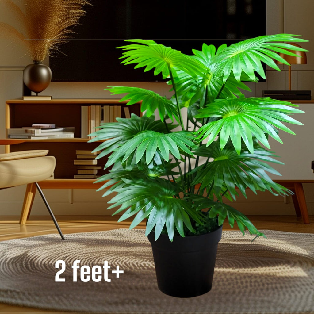 5 natural trees package