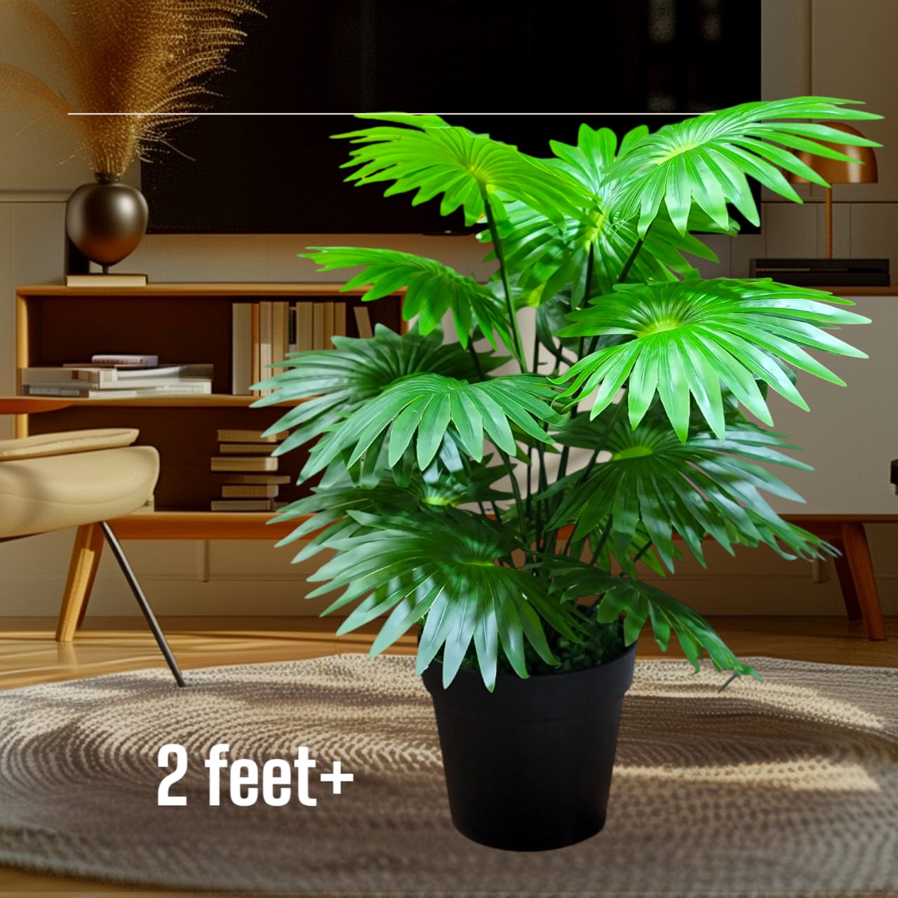 5 natural trees package