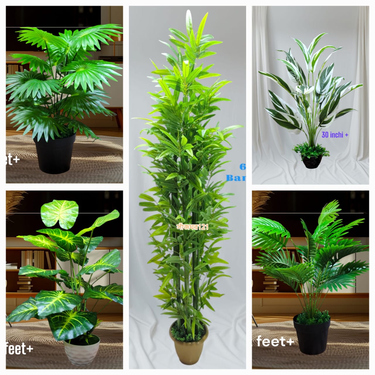5 natural trees package