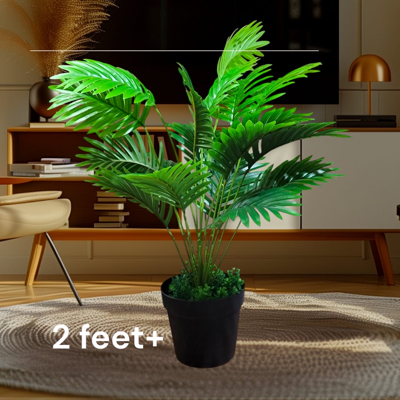 5 natural trees package