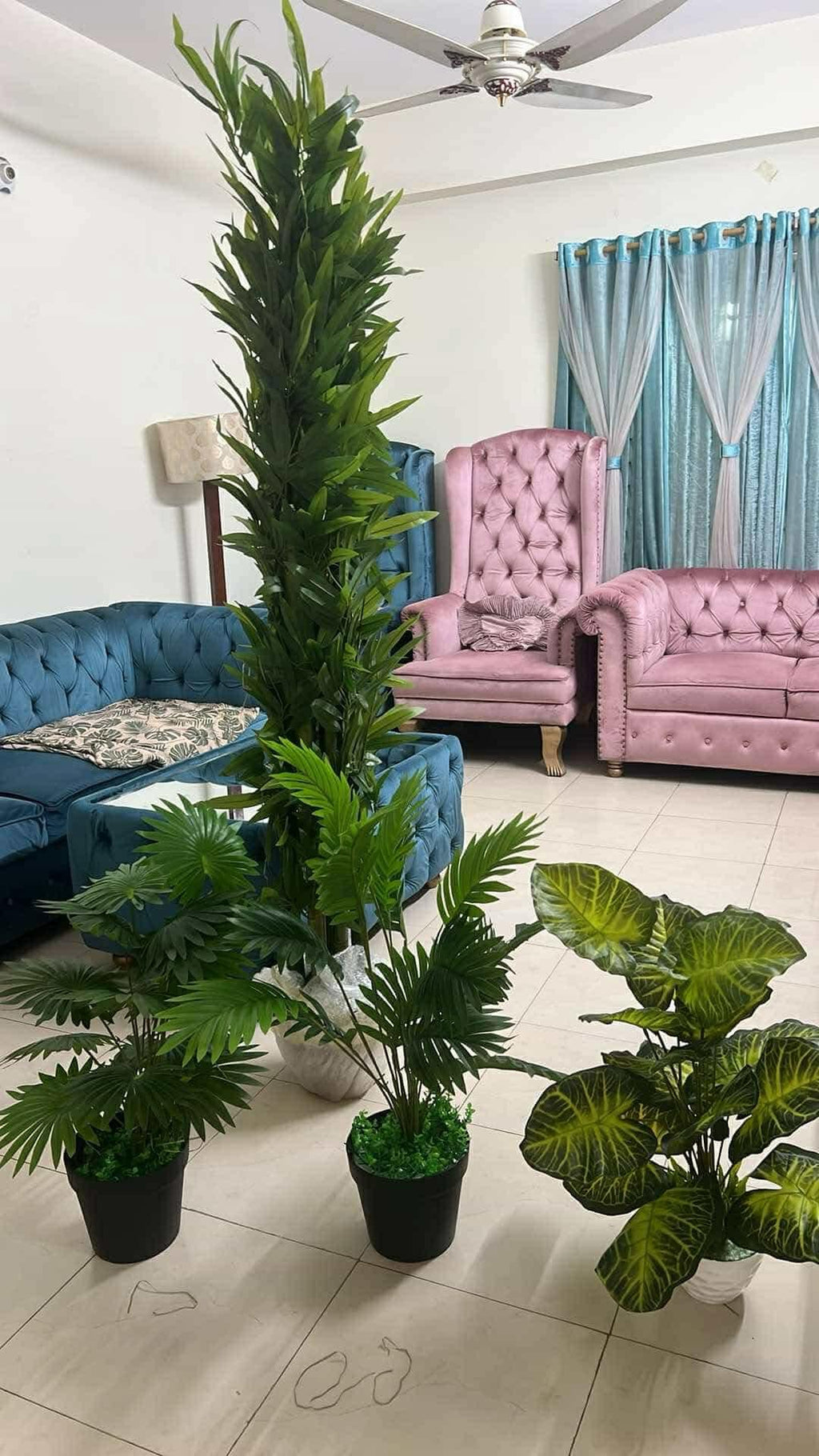 5 natural trees package